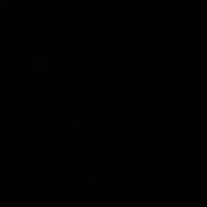 Meet your Posher, Lila